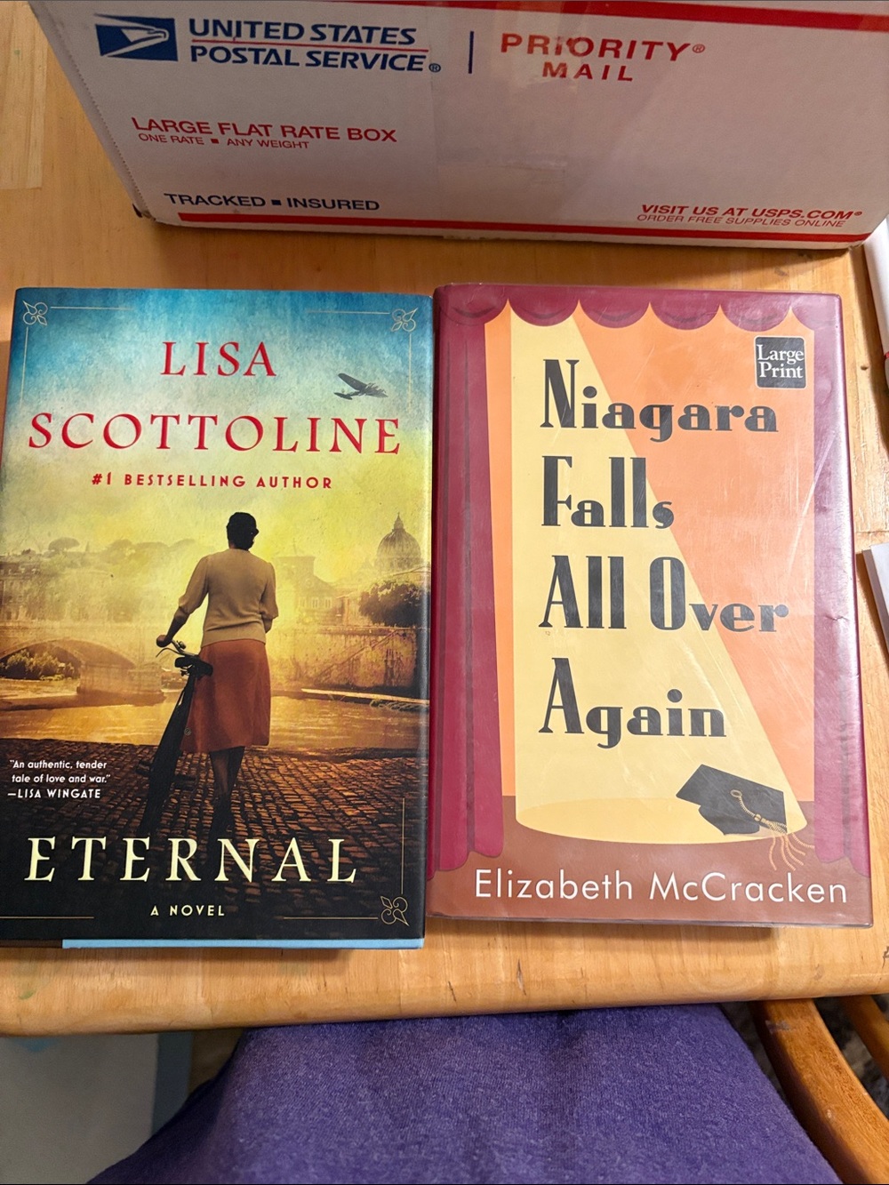 Eternal by Lisa Scottoline & Niagara Falls All Over Again - Two Hardcover Books
